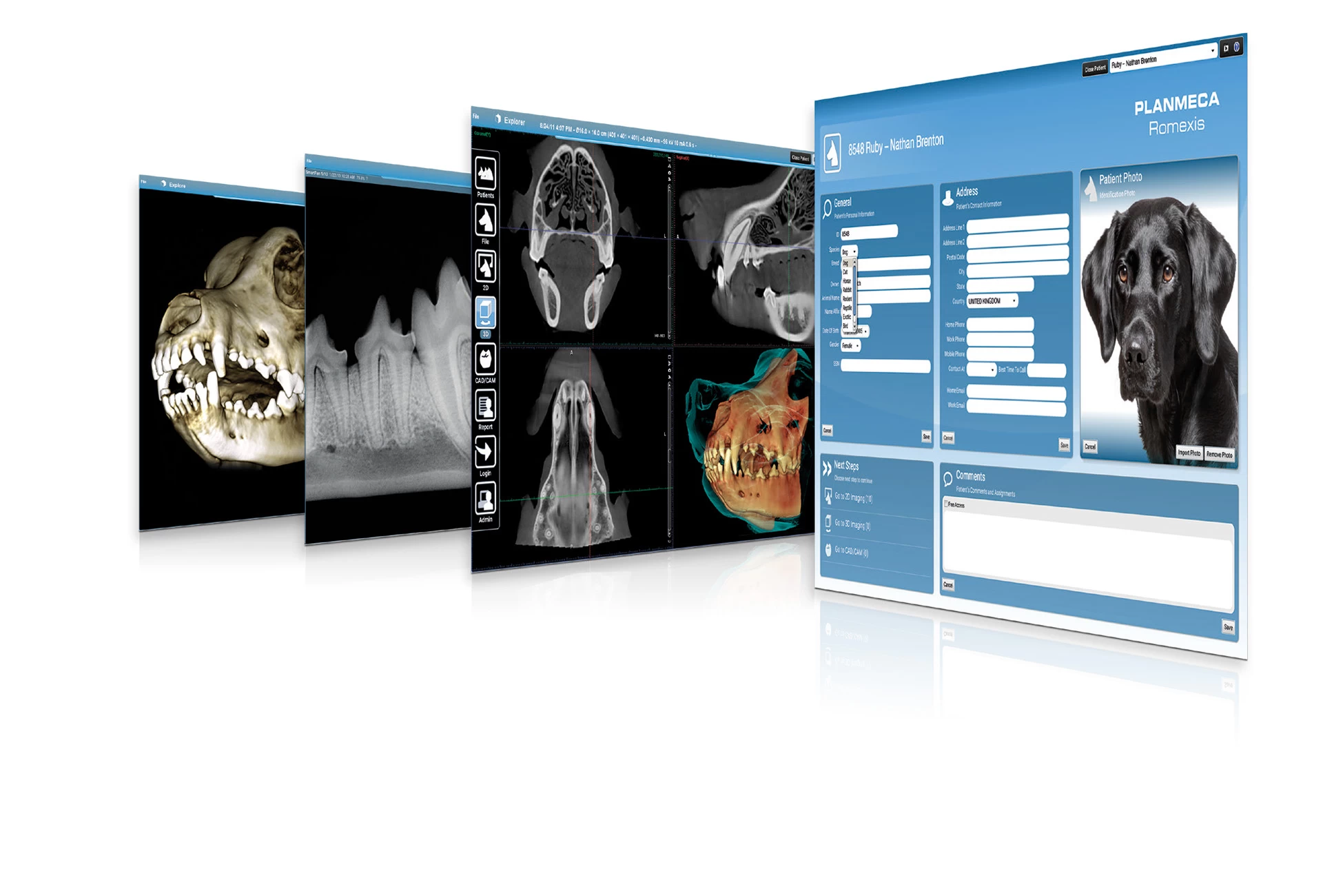 Planmeca Romexis® Veterinary Imaging Software